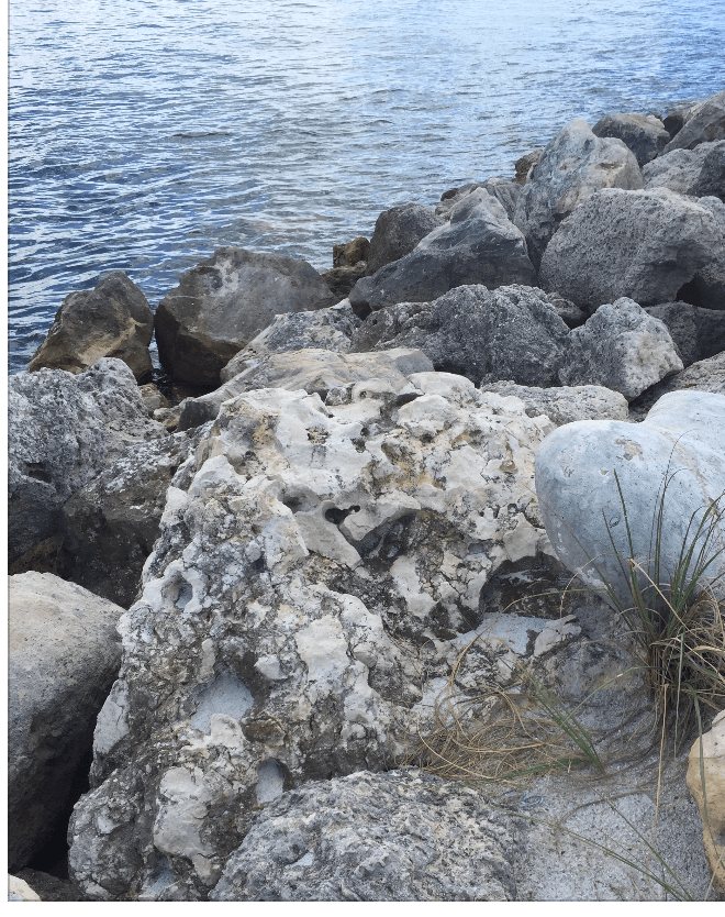 screen-shot-2019-09-24-at-10.53.25-pm