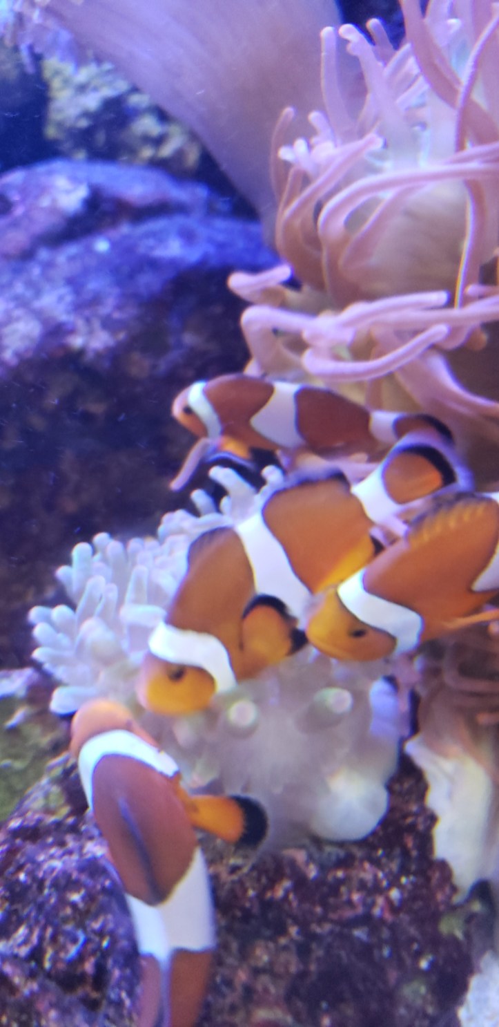 IMG_20181116_182011_497