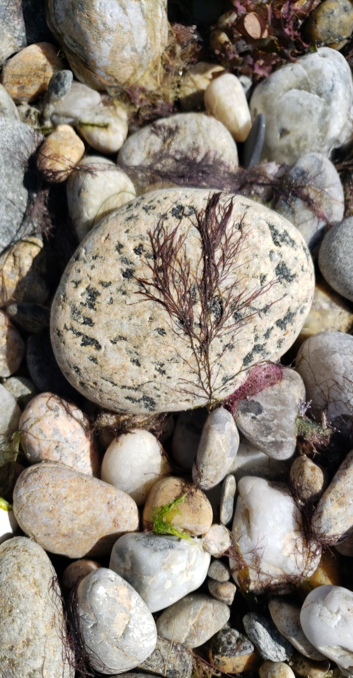 IMG_20190518_095526_171