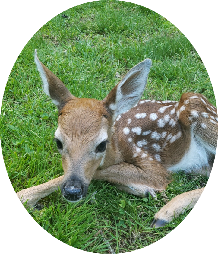 IMG_20190604_193913_779