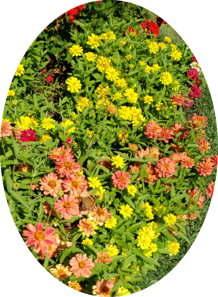 IMG_20190907_145546_909